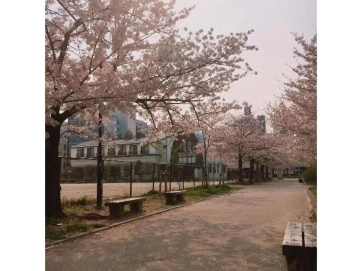Hotel Halrotto Fukuoka Hakata - Vacation Stay 18610V